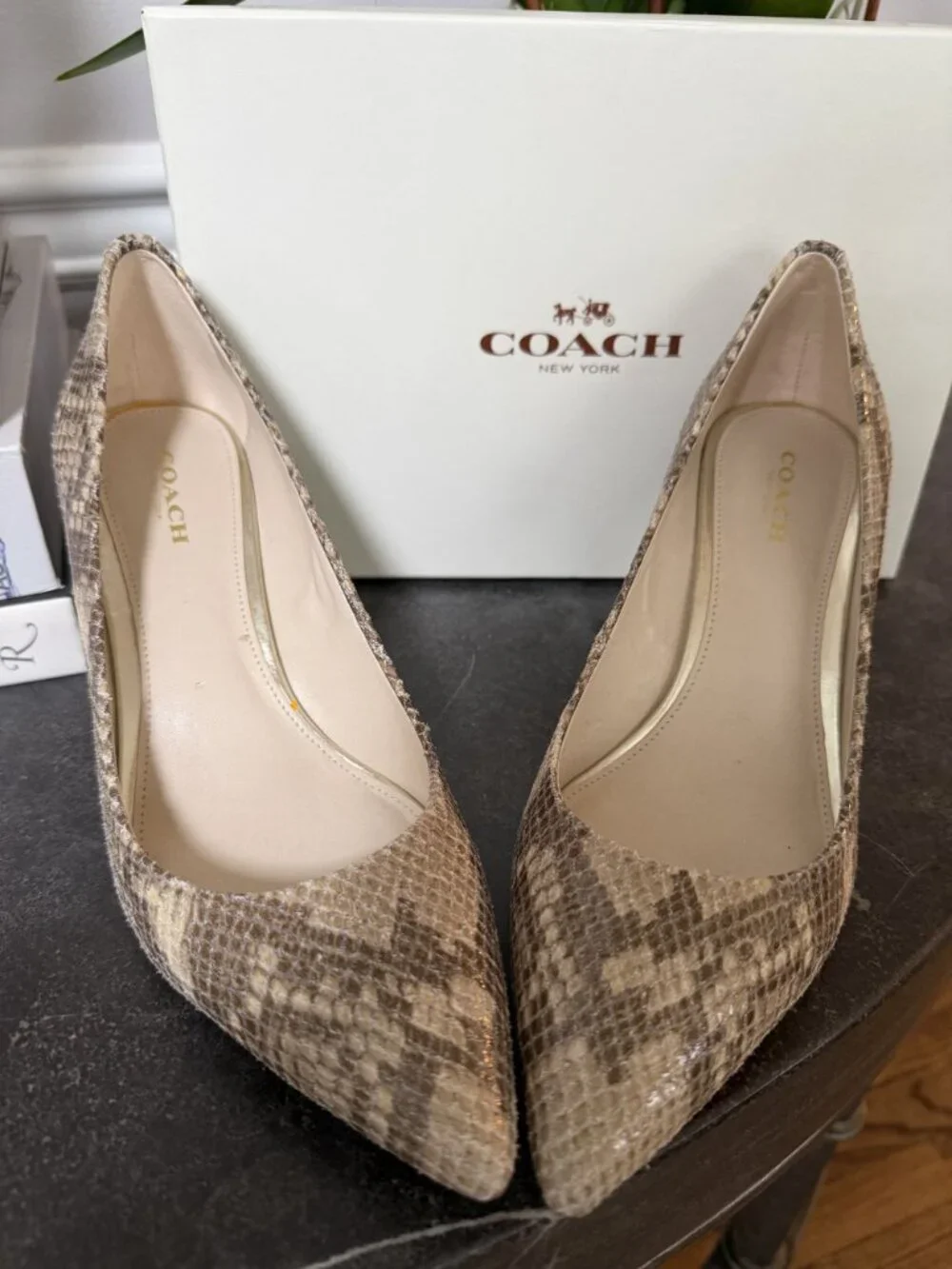 NIB Coach Zeal Sand Printed Snake Natural/Sand Leather Pumps Size 7.5